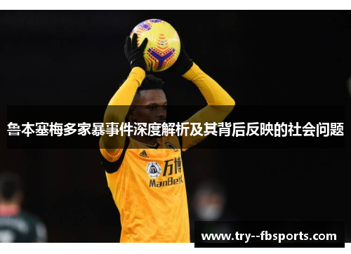 鲁本塞梅多家暴事件深度解析及其背后反映的社会问题